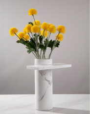 Flower Vase Without Flowers
